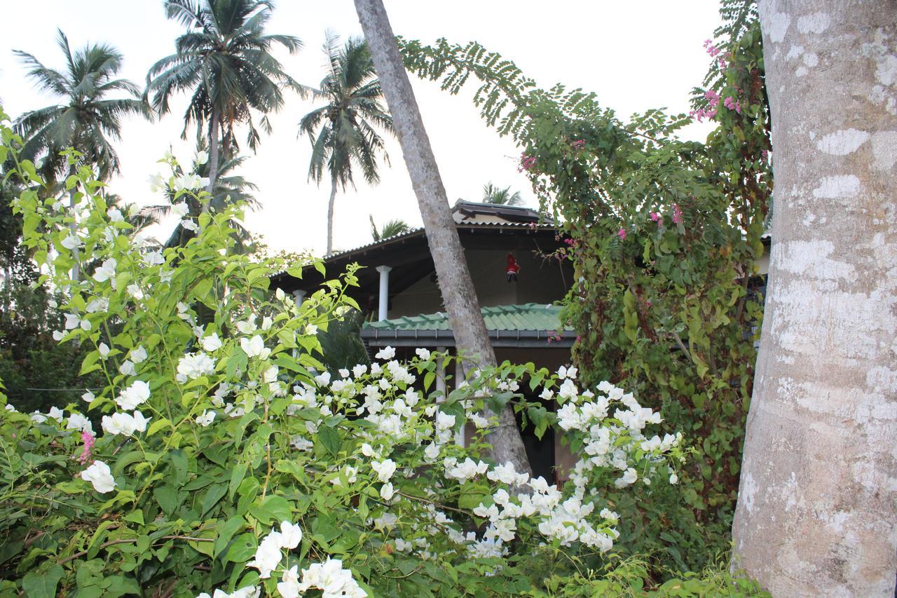 All View Resort Tangalle Kültér fotó